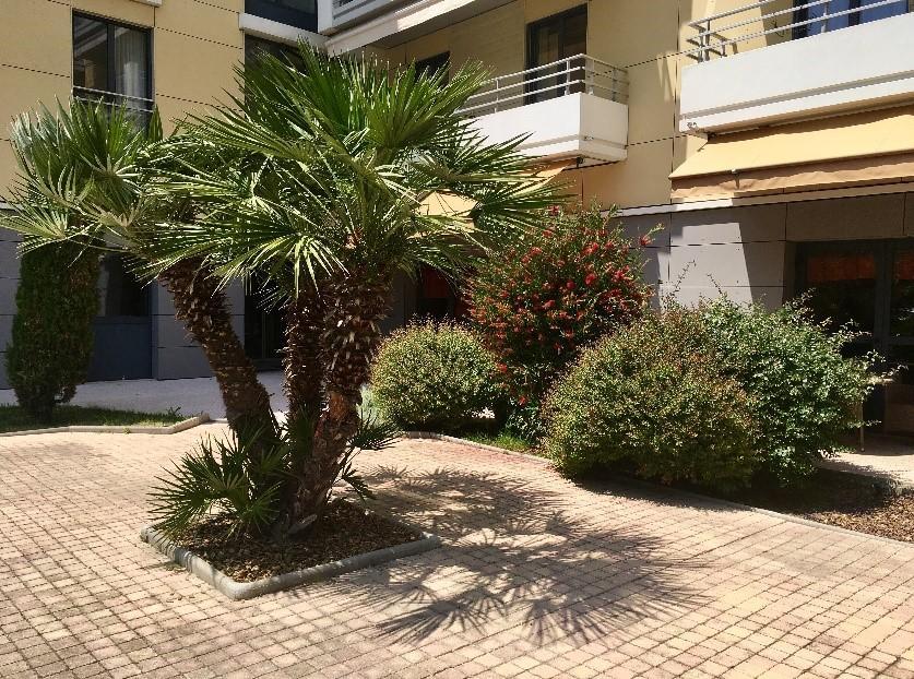 Villa Du Beal Cagnes-sur-Mer Extérieur photo
